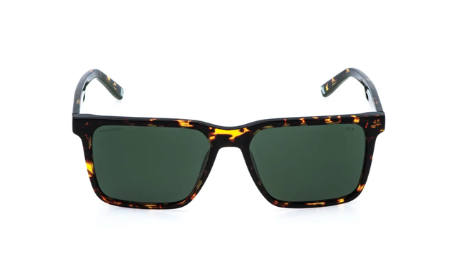 Everyday SFIB06 Z62P 0