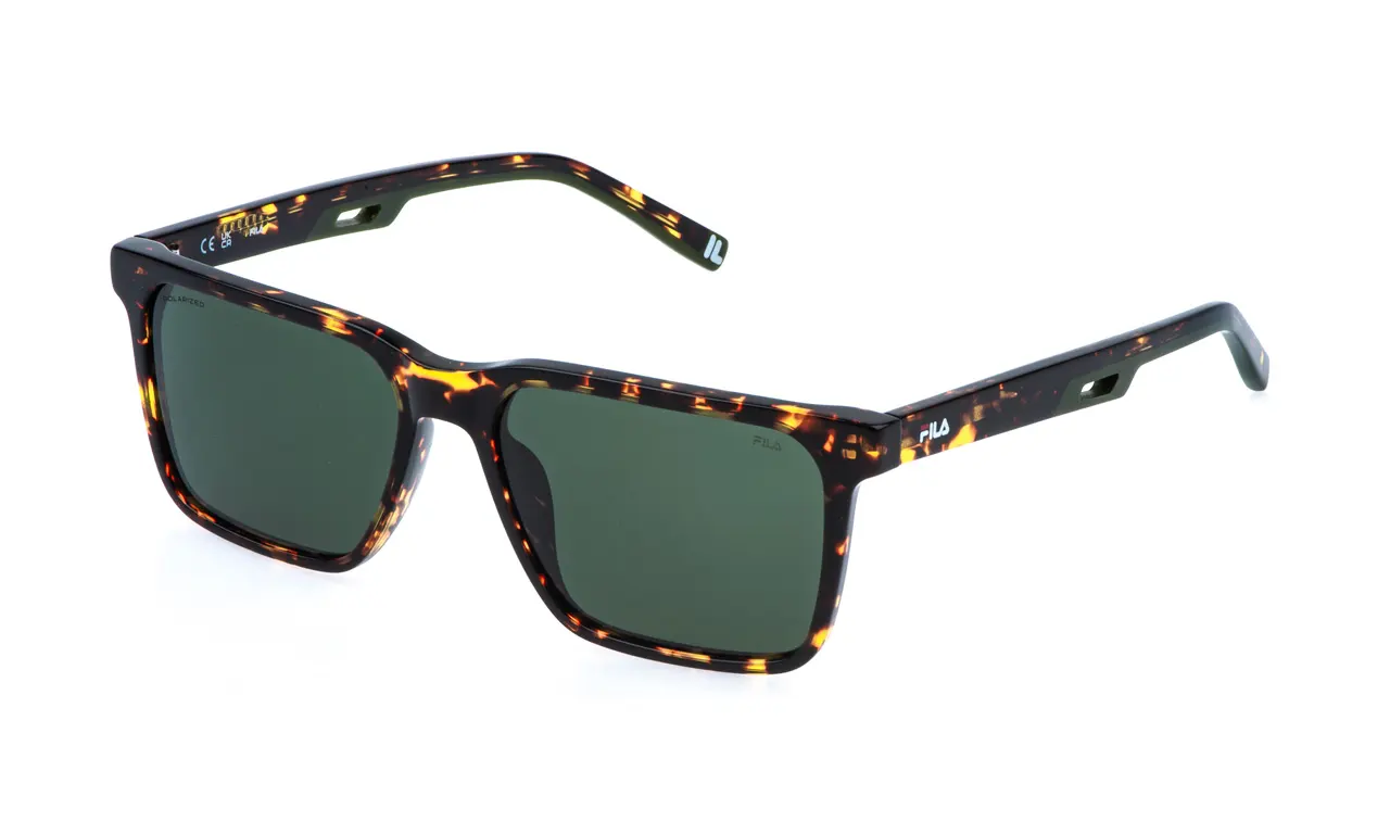 Everyday SFIB06 Z62P 1