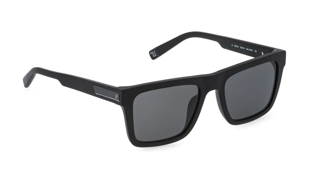 Metal detail SFIA11 0703 2