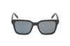 Window SFIA14 968P 0