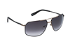 Carbon SFIA09 08FW 2